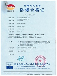 定制標準