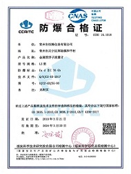定制標準