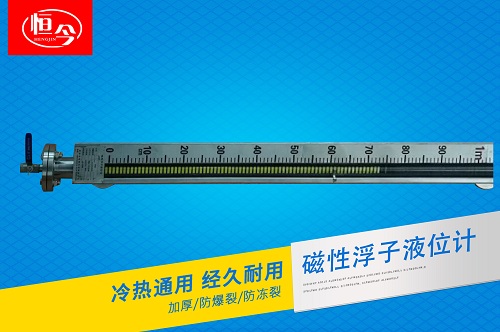 磁浮子液位計(jì)（普通側(cè)裝